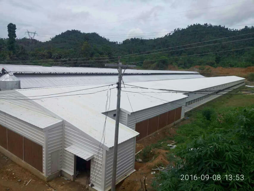 Light Steel Structure Broiler Chicken Shed Project in Philippines