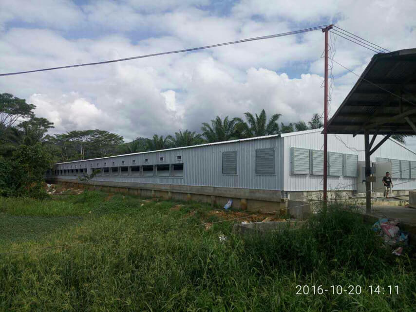 light steel structure broiler chicken shed