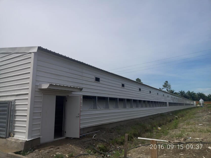 Steel Structure Chicken Shed