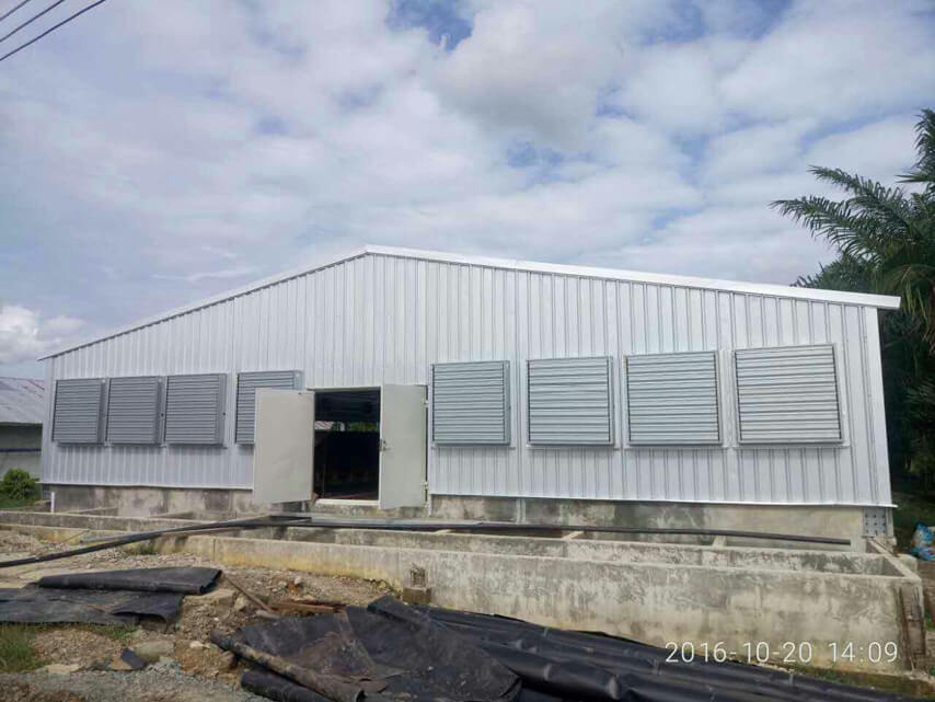 broiler shed project in Philippines