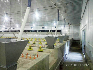 Commercial Poultry Shed with Slated Floor 