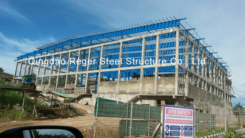Steel Structure Medicine Storage Warehouse (1)