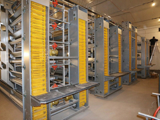 H Type Chicken Layer Cage 