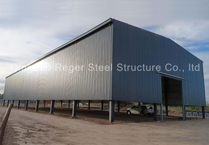 Steel structure warehouse Argentina