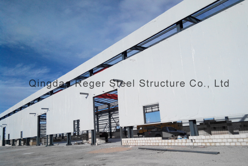 Algeria Steel Warehouse Building