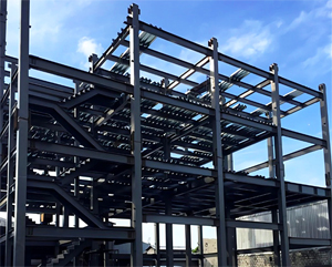 Maldives Multi-Floor Steel Frame Structure Building for Seafood Processing Factory