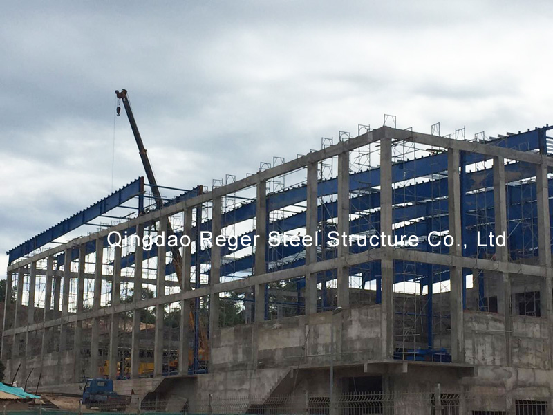 Brunei Steel Structure Medicine Storage Warehouse (2)